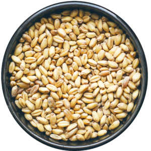 FARRO DICOCCO PERLATO