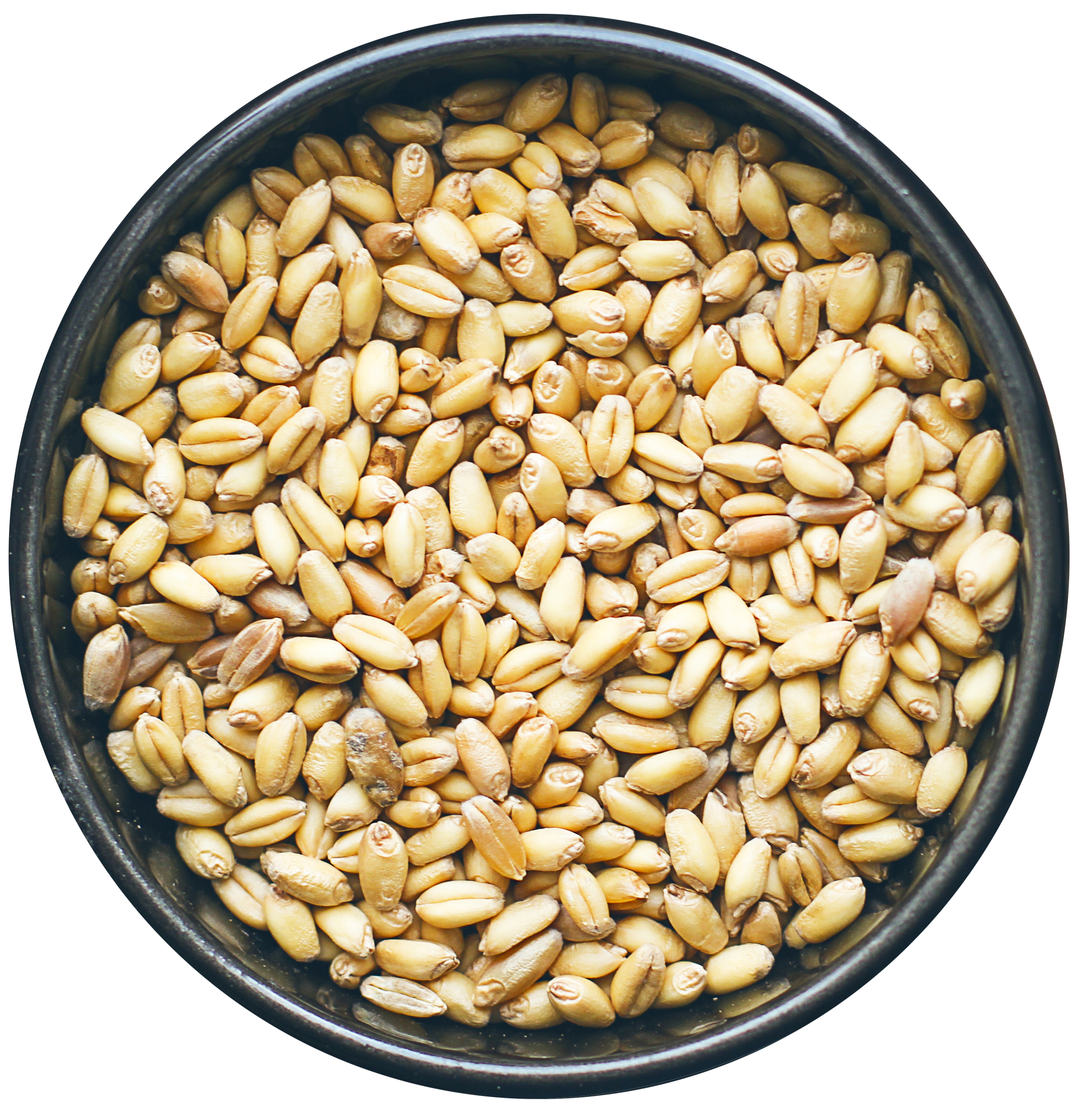 FARRO DICOCCO PERLATO